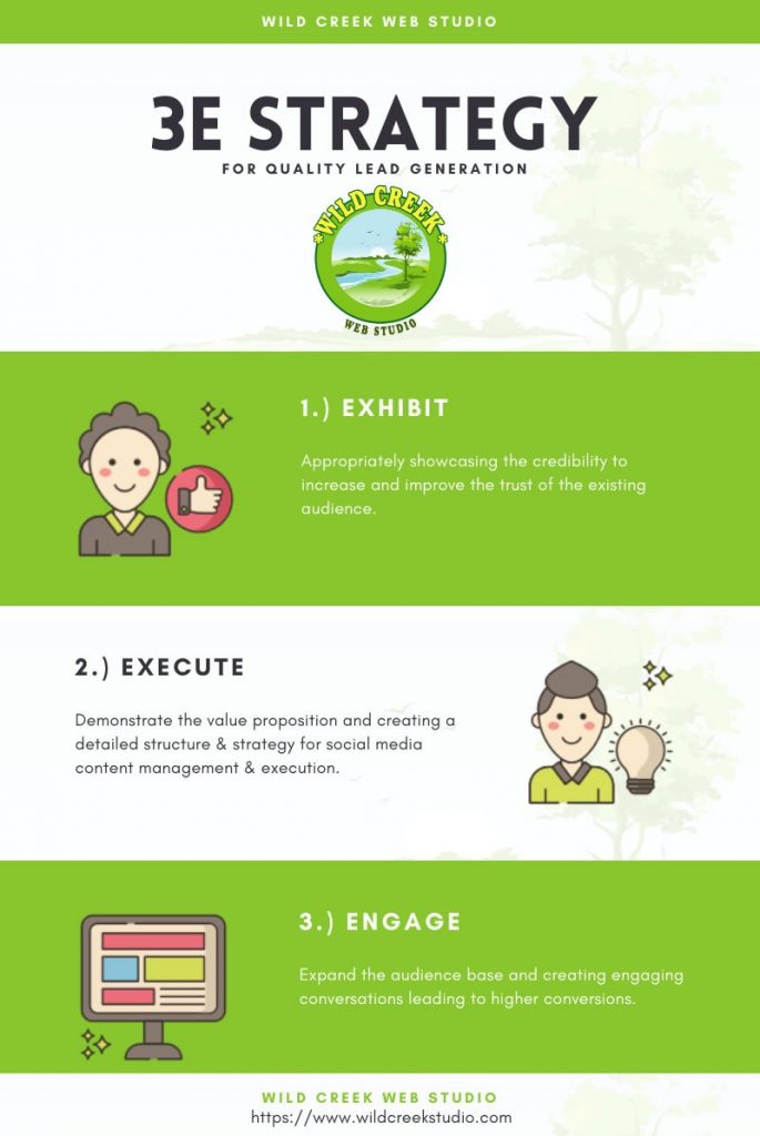 How We Generated 4365 Quality Leads for a client with Wild Creek’s Digital Strategy 3e strategy case study 685x1024 - How We Generated 4365 Quality Leads for a client with Wild Creek’s Digital Strategy