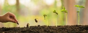 How We Grew the SEO Traffic by 800% of a National Brand