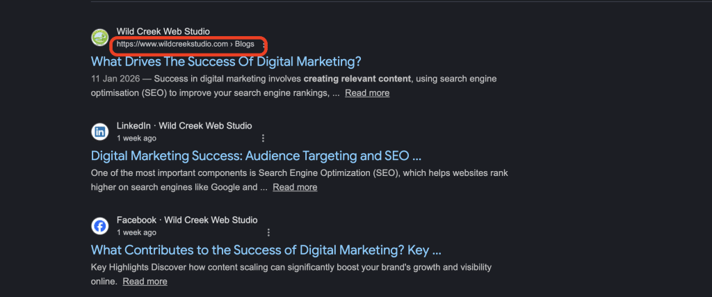What Are the 15 On-Page SEO Factors You Can’t Miss in 2026? 4 Screenshot of URL structure