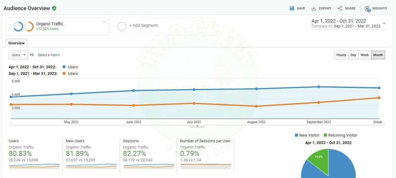 6 Months Google Analytics Growth Results