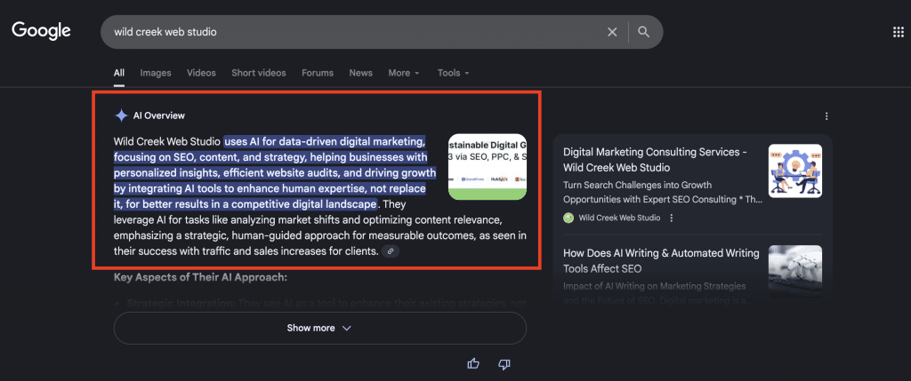 How Entities SEO Can Transform Your Digital Marketing? 4 Screenshot of AI overview