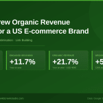 [SEO Case Study] How We Grew Organic Revenue by 21.7% and Organic Clicks by 86% for a US E-commerce Brand